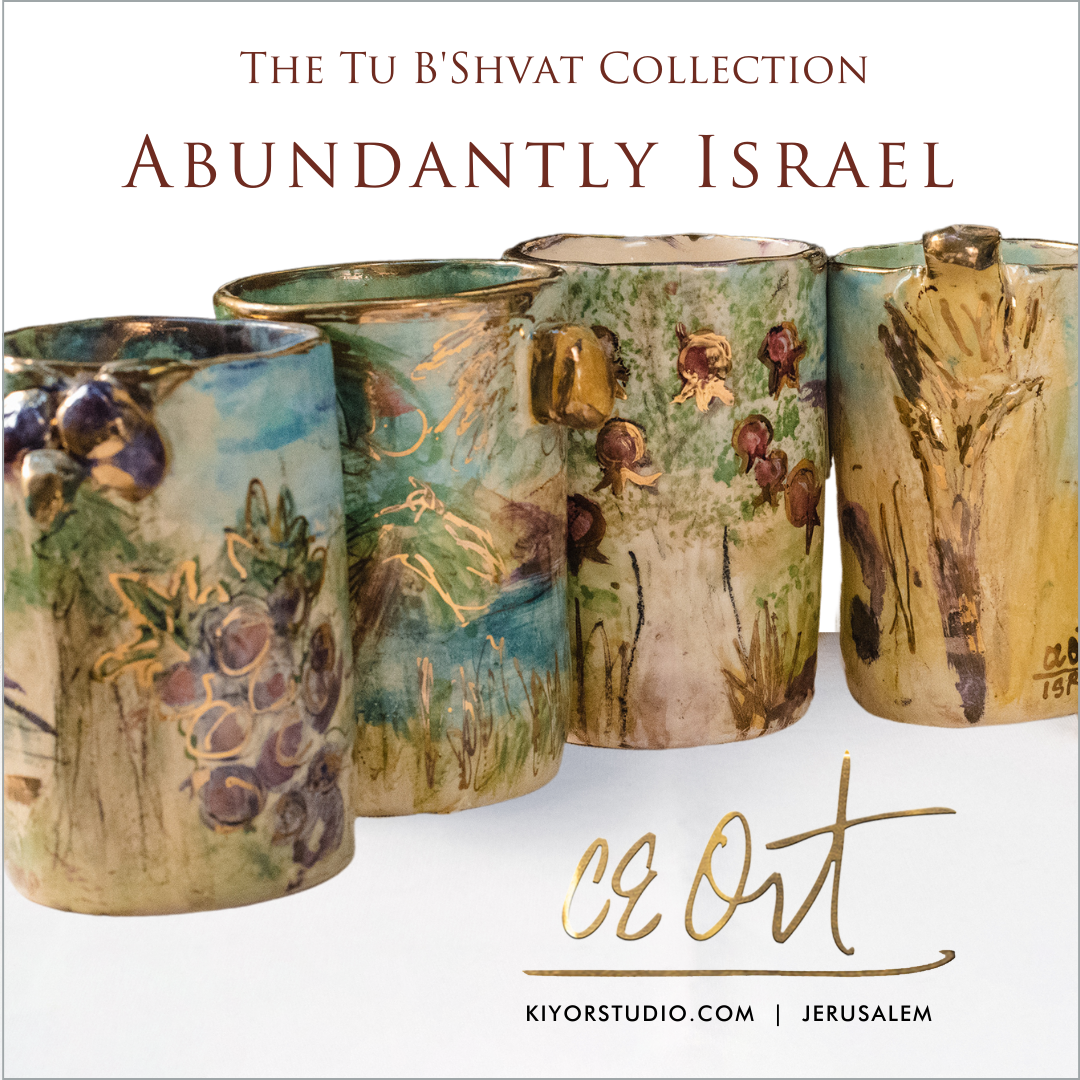 Set of 7 Abundance of Israel Cozy Cups